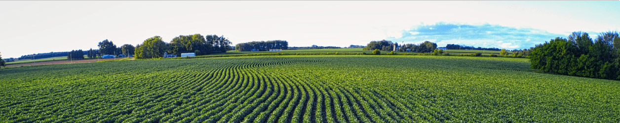 Agriculture & Food Systems background